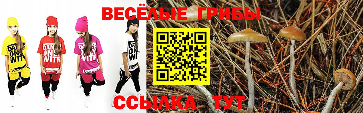 Галлюциногенные грибы Psilocybe  Вход с VPN  Саров  Галлюциногенные грибы мухоморы 