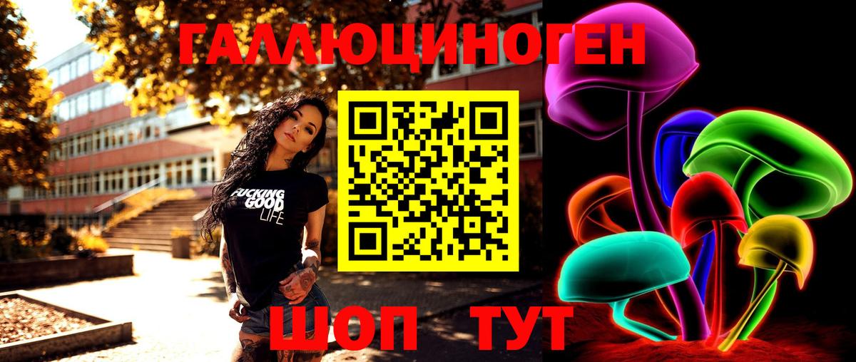Галлюциногенные грибы Psilocybe Саров